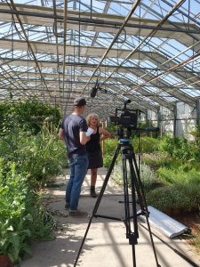 7fbc0c45-6cb6-4de0-8dd9-79c9407ba774